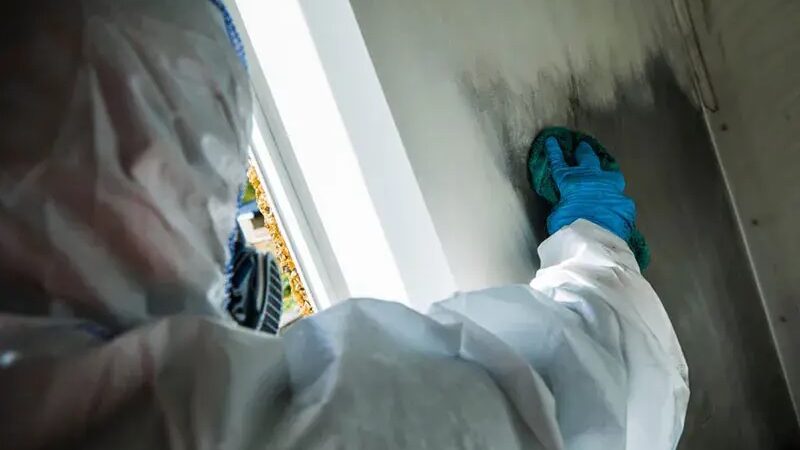 How Can You Prepare for an Emergency Flood Before It Strikes?