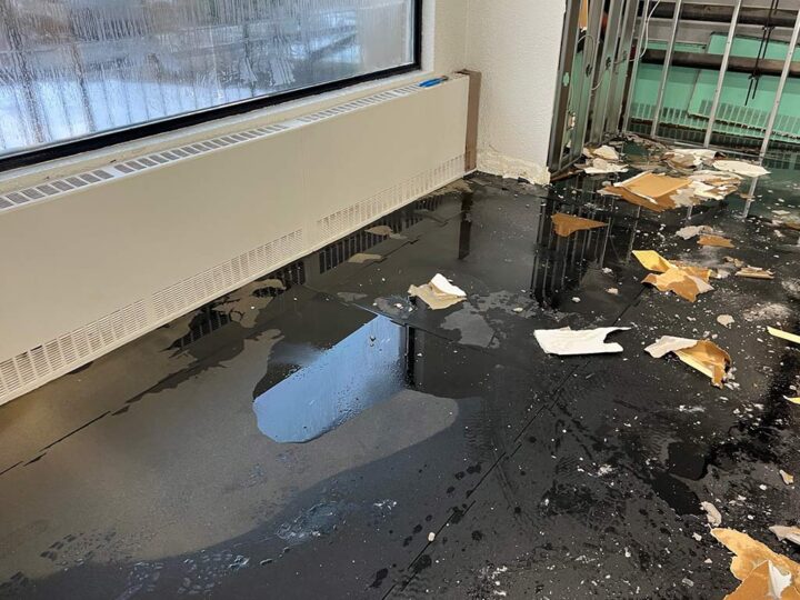 Why Is Professional Water Removal Essential After a Flood?