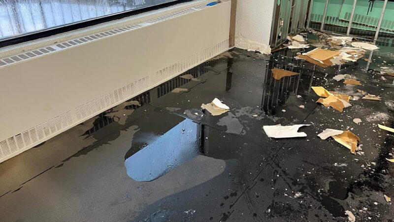 Why Is Professional Water Removal Essential After a Flood?