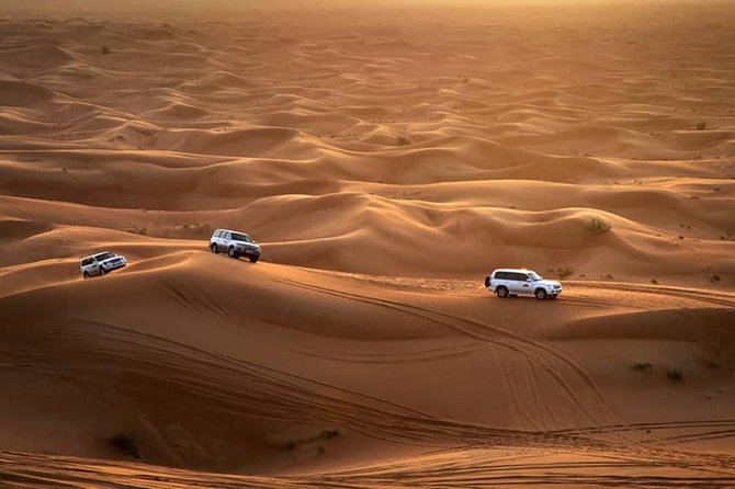 Why Morning Desert Safari Dubai Is Ideal for Families and First-Time Visitors