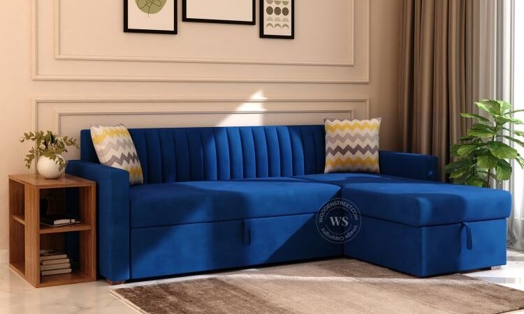 Elegant Bed Cum Sofa with Wooden Finish and Ample Storage