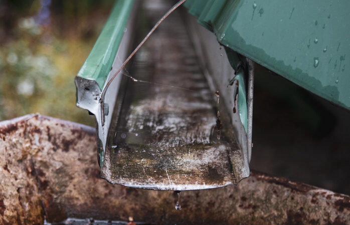 What Are The Most Effective Ways To Keep Your Septic Tanks Healthy?