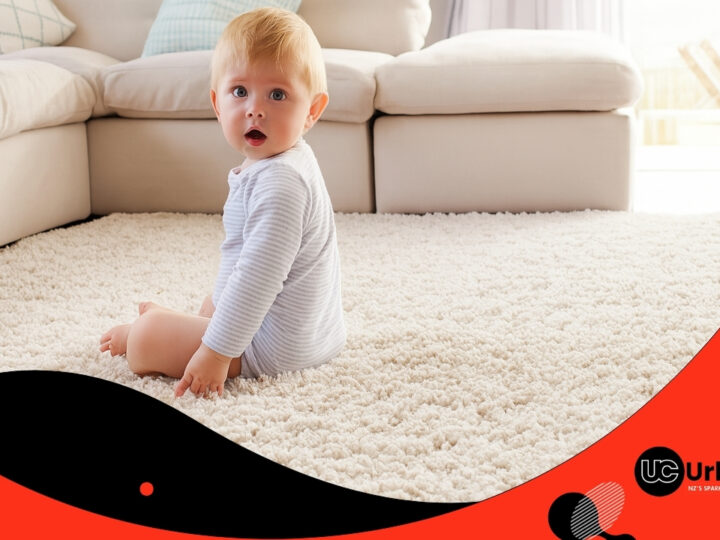 Auckland’s Ultimate Guide to Eco-Friendly Carpet Steam Cleaning