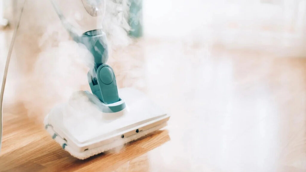 Auckland's Ultimate Guide to Eco-Friendly Carpet Steam Cleaning 2 66