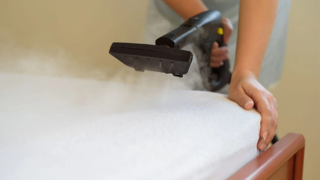 Auckland's Ultimate Guide to Eco-Friendly Carpet Steam Cleaning 5 69