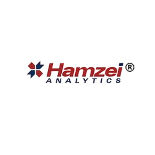 Hamzei Analytics LLC