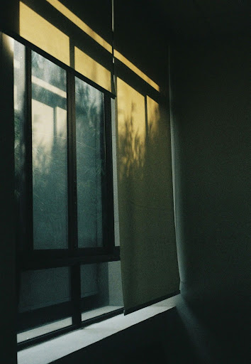Fabric Roller Shades vs. Vinyl: Which Option Suits Your Home Best?