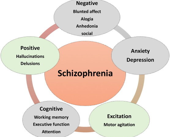 7 Signs That Indicate You Need Schizophrenia Rehab in Pune