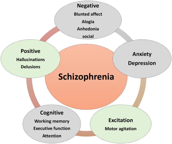 7 Signs That Indicate You Need Schizophrenia Rehab in Pune