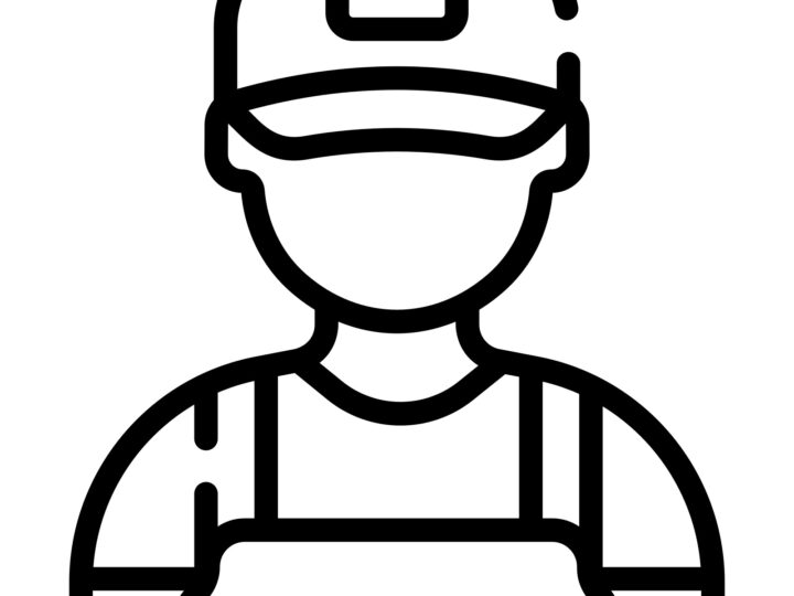 What Are the Benefits of Working with a Registered Visa Agent?