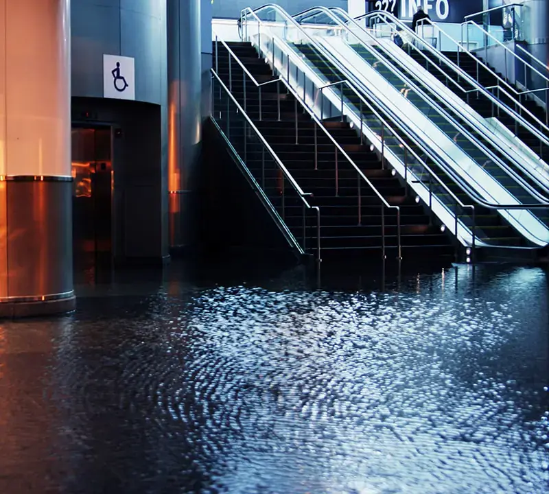 Does Home Insurance Cover Water Cleanup Services?