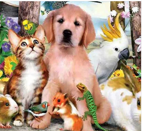 Prachtige Dieren Thema Diamond Paintings: Unieke Decoratie-ideeën 2 diamond painting dier