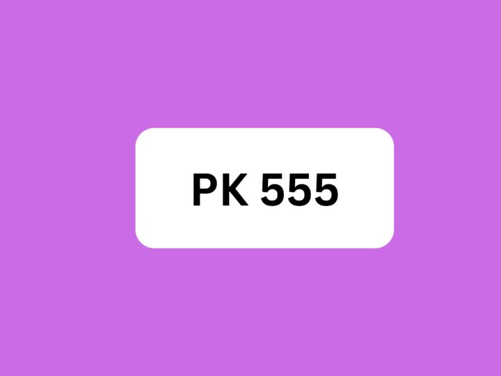 PK555.com.pk: Transforming Pakistan’s Online Experience