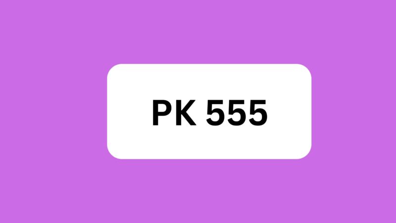 PK555.com.pk: Transforming Pakistan’s Online Experience