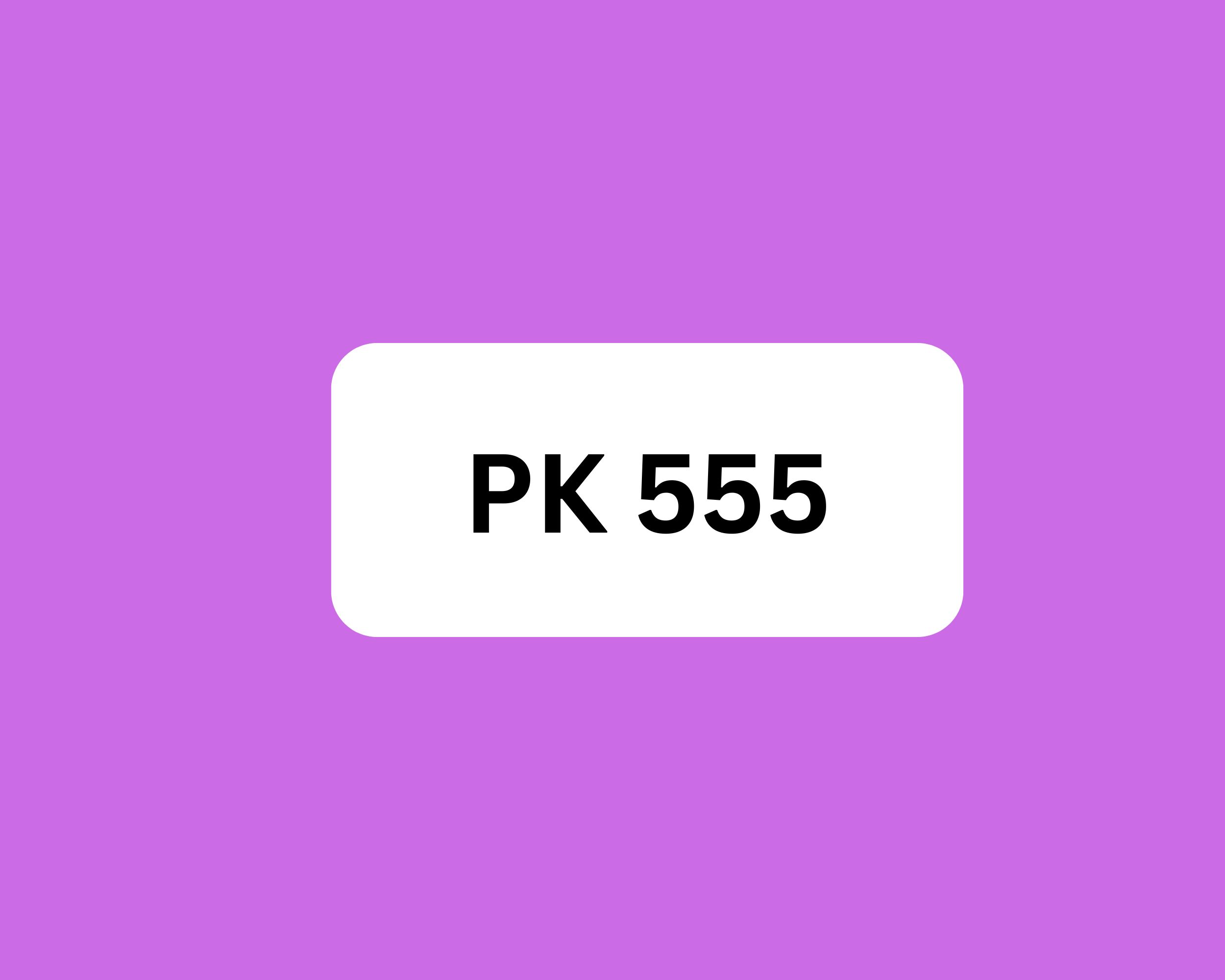 PK555.com.pk: Transforming Pakistan’s Online Experience 1 PK555.com.pk: Transforming Pakistan’s Online Experience