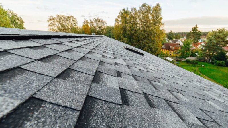 Why Florida Homeowners Trust Metal Roofing & Expert Roof Repair Services for Lasting Protection