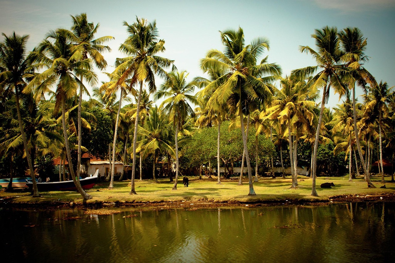 Kerala Backwater Tour Packages – Scenic Houseboat Experiences 1 Kerala Backwater Tour Packages – Scenic Houseboat Experiences