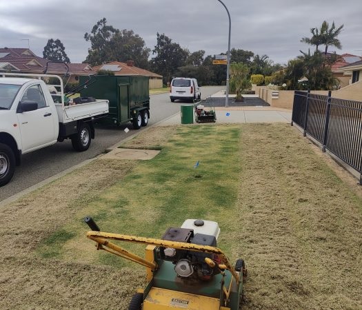 When Is the Best Time of Year for Core Aeration?