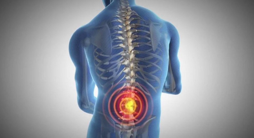 What services does a back pain doctor in Clifton offer? 1 What services does a back pain doctor in Clifton offer?