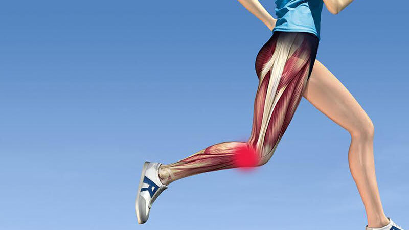 What kind of doctor should I see for knee pain?