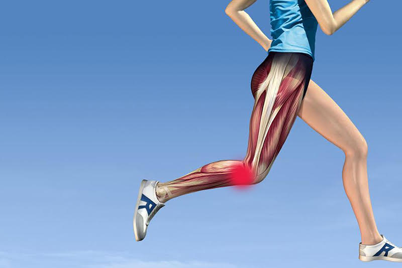 What kind of doctor should I see for knee pain?