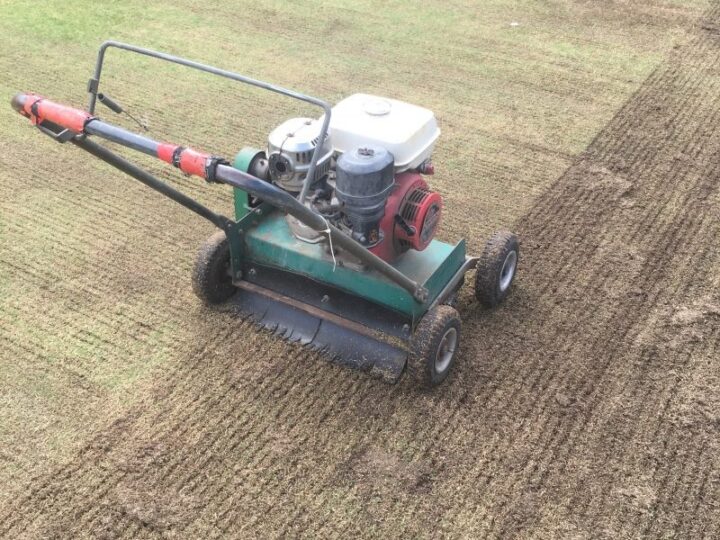 When Is the Best Time of Year to Vertimow a Buffalo Lawn?