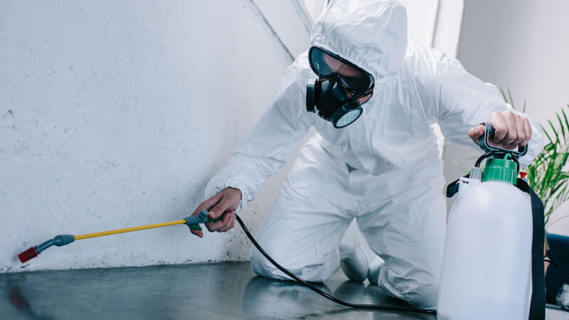 Pest Control Cleveland