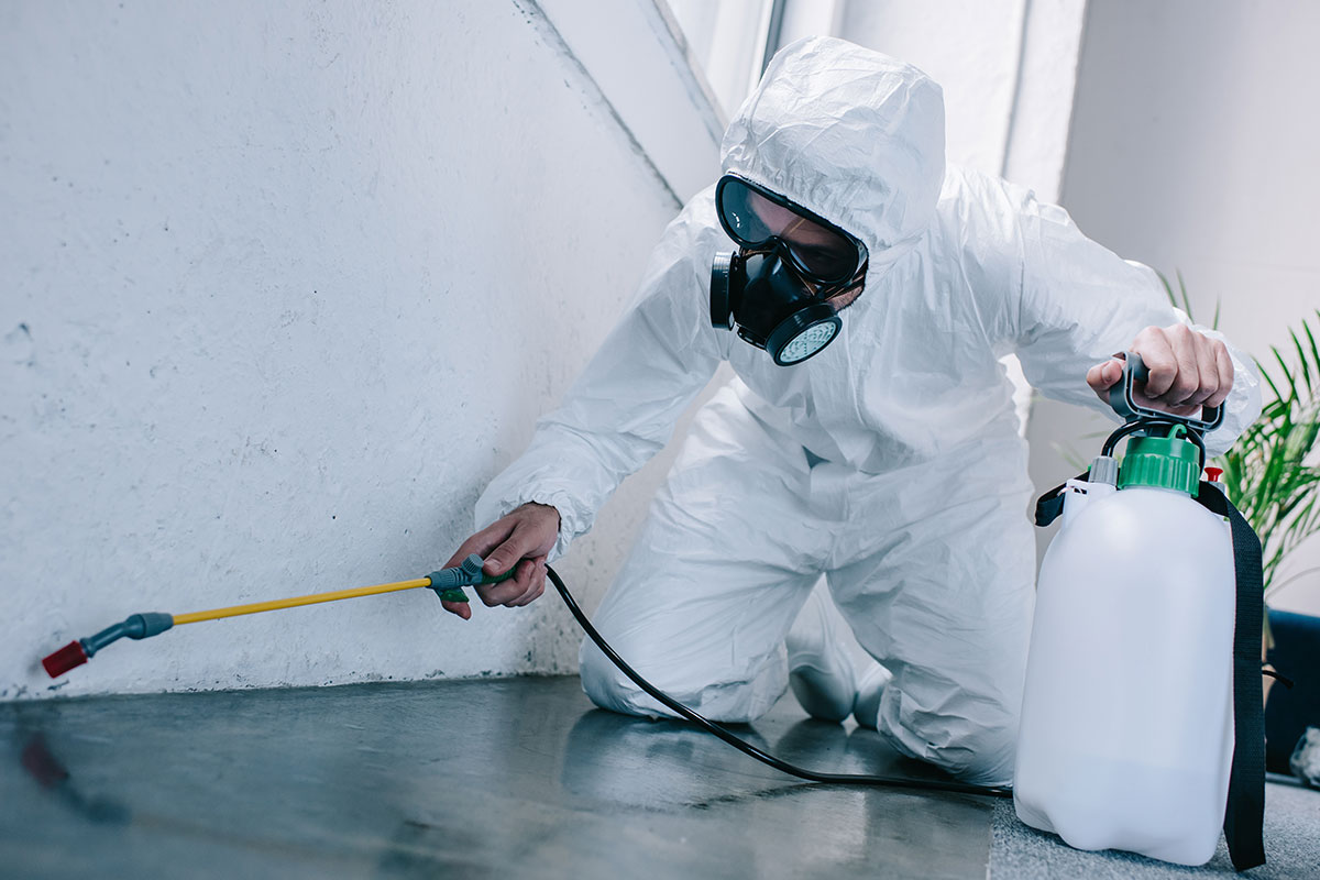 Pest Control Cleveland 1 Pest Control Cleveland