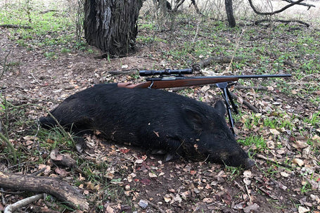 What Makes Public Hog Hunting Texas A Must-Try Adventure?
