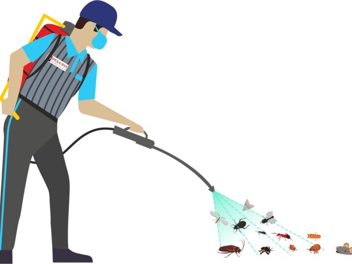 Why Your Apartment in Broadway Keeps Drawing Pests—And What You Can Actually Do About It