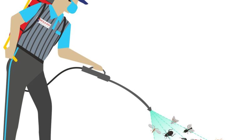 Why Your Apartment in Broadway Keeps Drawing Pests—And What You Can Actually Do About It