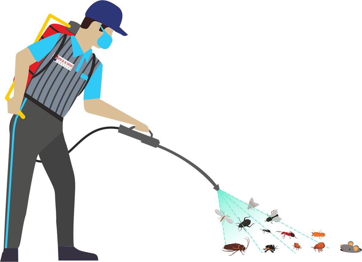 Why Your Apartment in Broadway Keeps Drawing Pests—And What You Can Actually Do About It