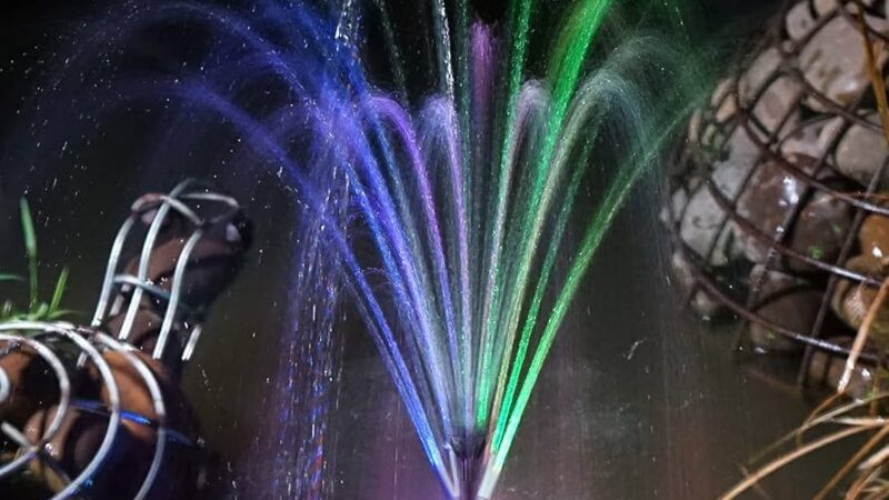 Comparing the Pond and Fountain Pump with Other Pumps