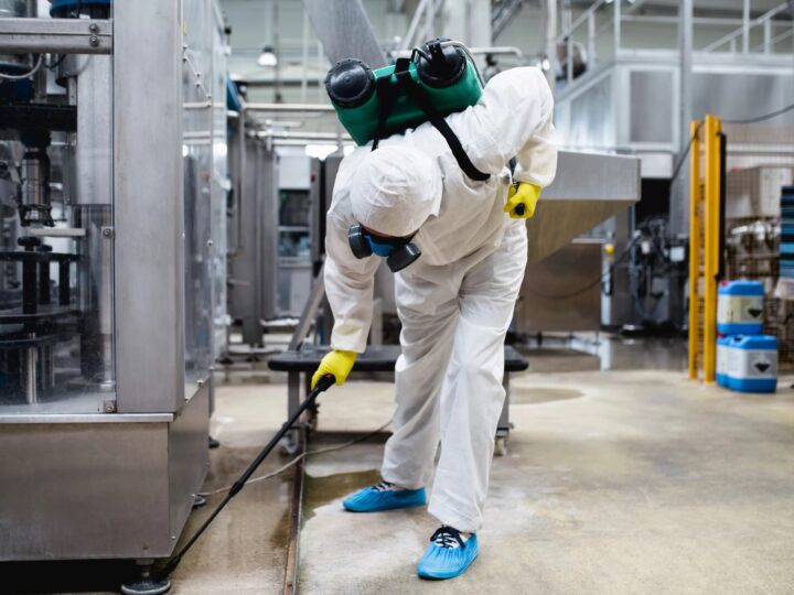 Why Is Professional Commercial Pest Control Essential for Abbotsford Businesses?