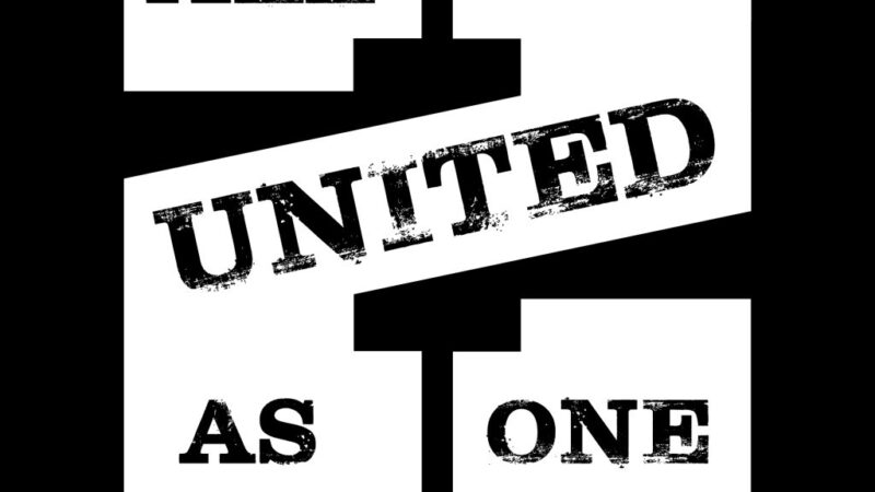 Why the All United Collection Stands Out