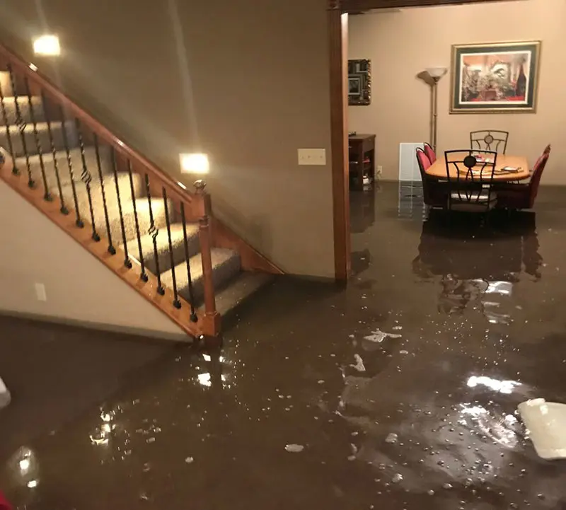 How Can a Professional Basement Flood Cleanup Service Help You?