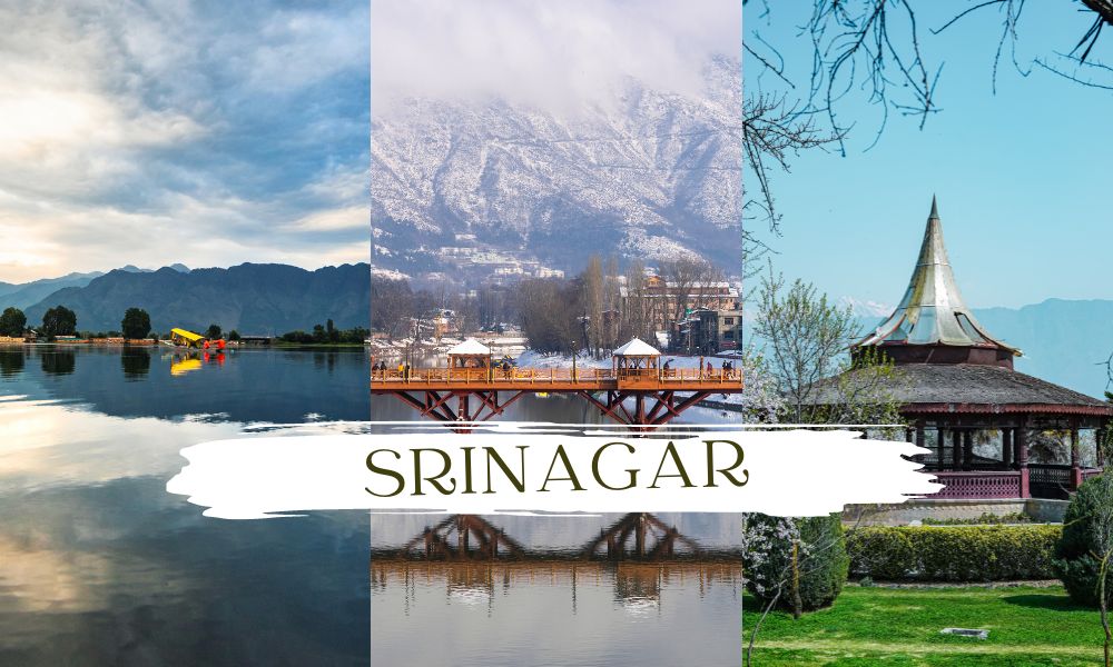 Places to Visit in Srinagar, Kashmir in December by Taxi 1 Places to Visit in Srinagar, Kashmir in December by Taxi
