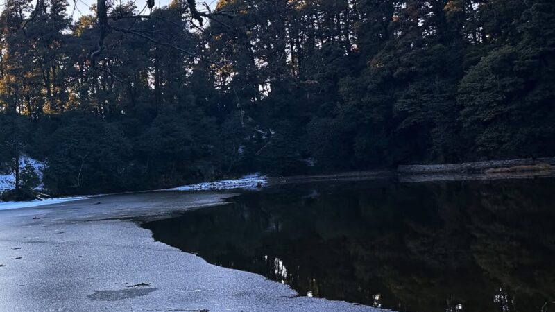 Brahmatal Trek Uttarakhand