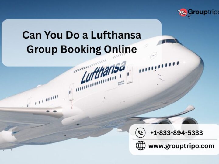 Can You Do a Lufthansa Group Booking Online?