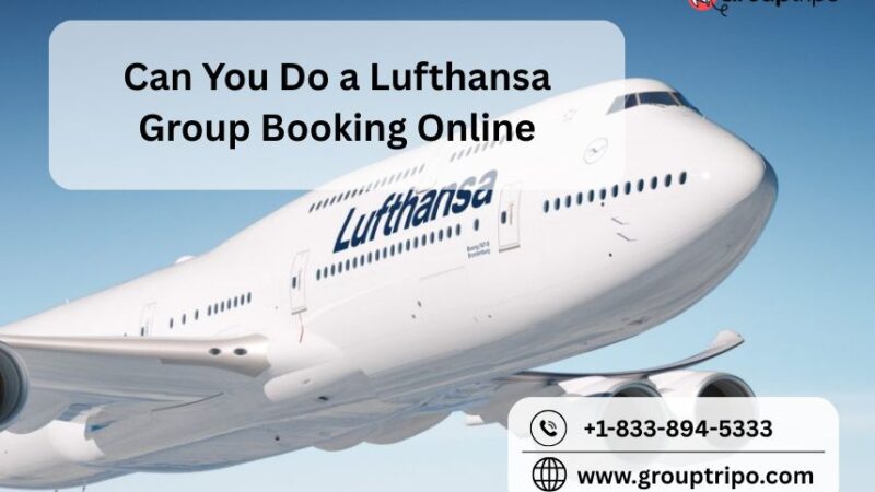 Can You Do a Lufthansa Group Booking Online?