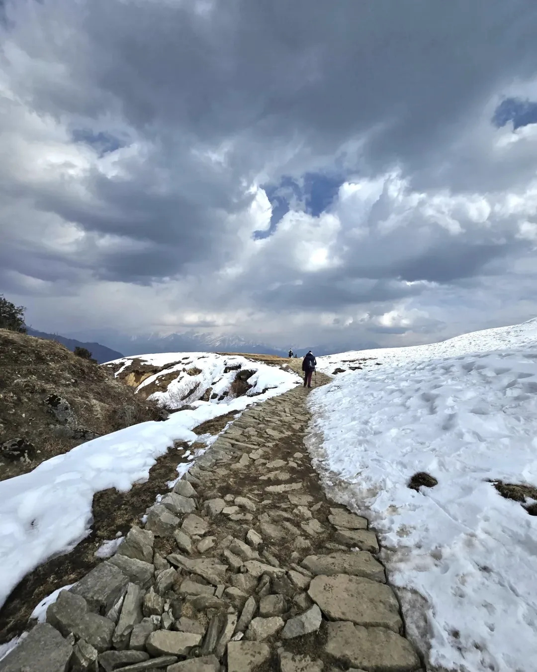 Dayara Bugyal Trek Uttarakhand
