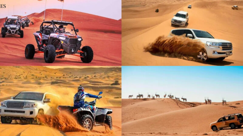 Exploring The Best Desert Safari Company in Dubai