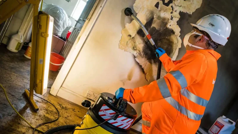 How Do Professionals Clean and Restore Smoke-Damaged Areas?