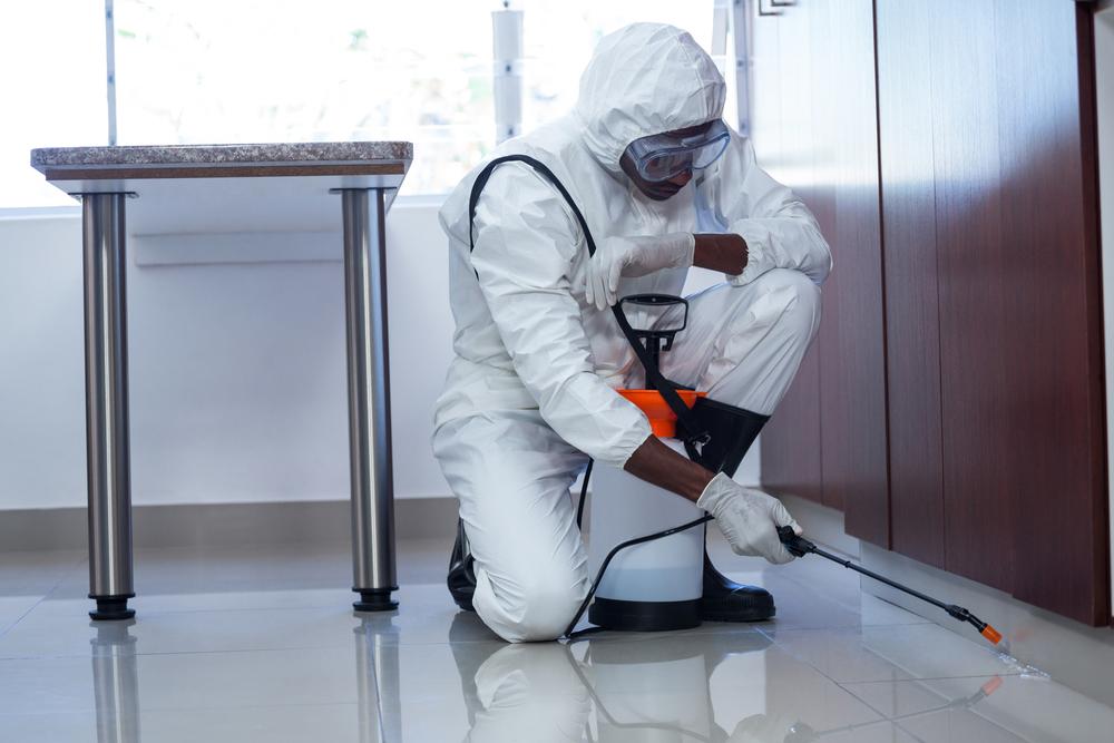 Pest Control Cleveland 2 Pest Control Cleveland