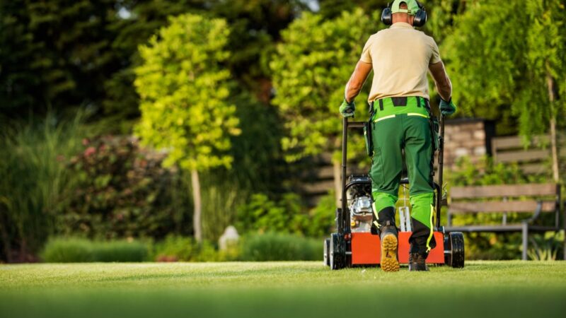 Transform Your Outdoor Spaces with Professional Landscaping Services in Wayzata, MN