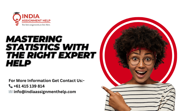 Mastering Statistics with the Right Expert Help