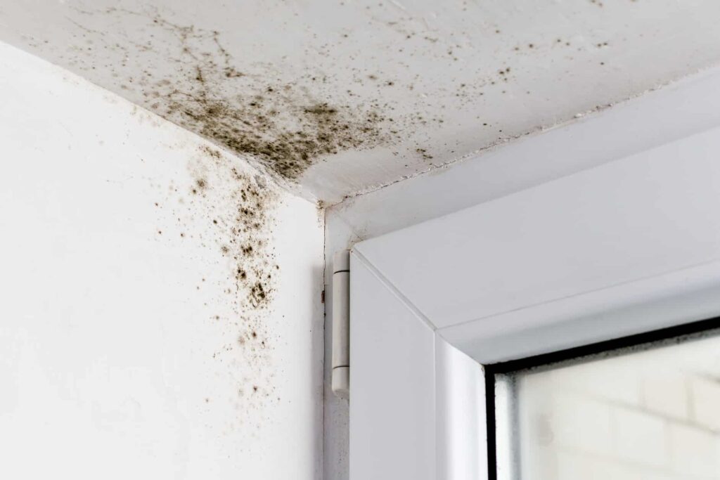 Mold Inspection Atlanta 3 Mold on ceiling