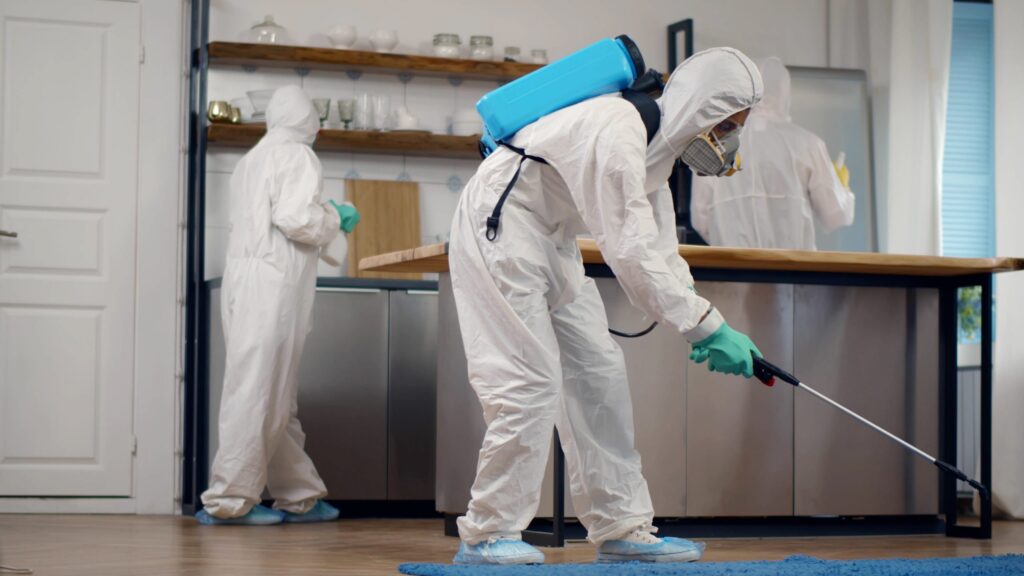 Pest Control Cleveland 3 Pest Control Cleveland
