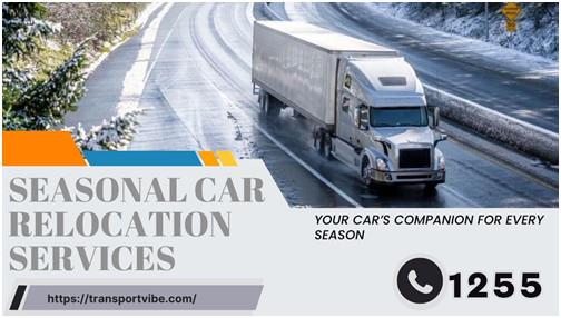 Luxury Car Shipping Services: What To Look For In 2025
