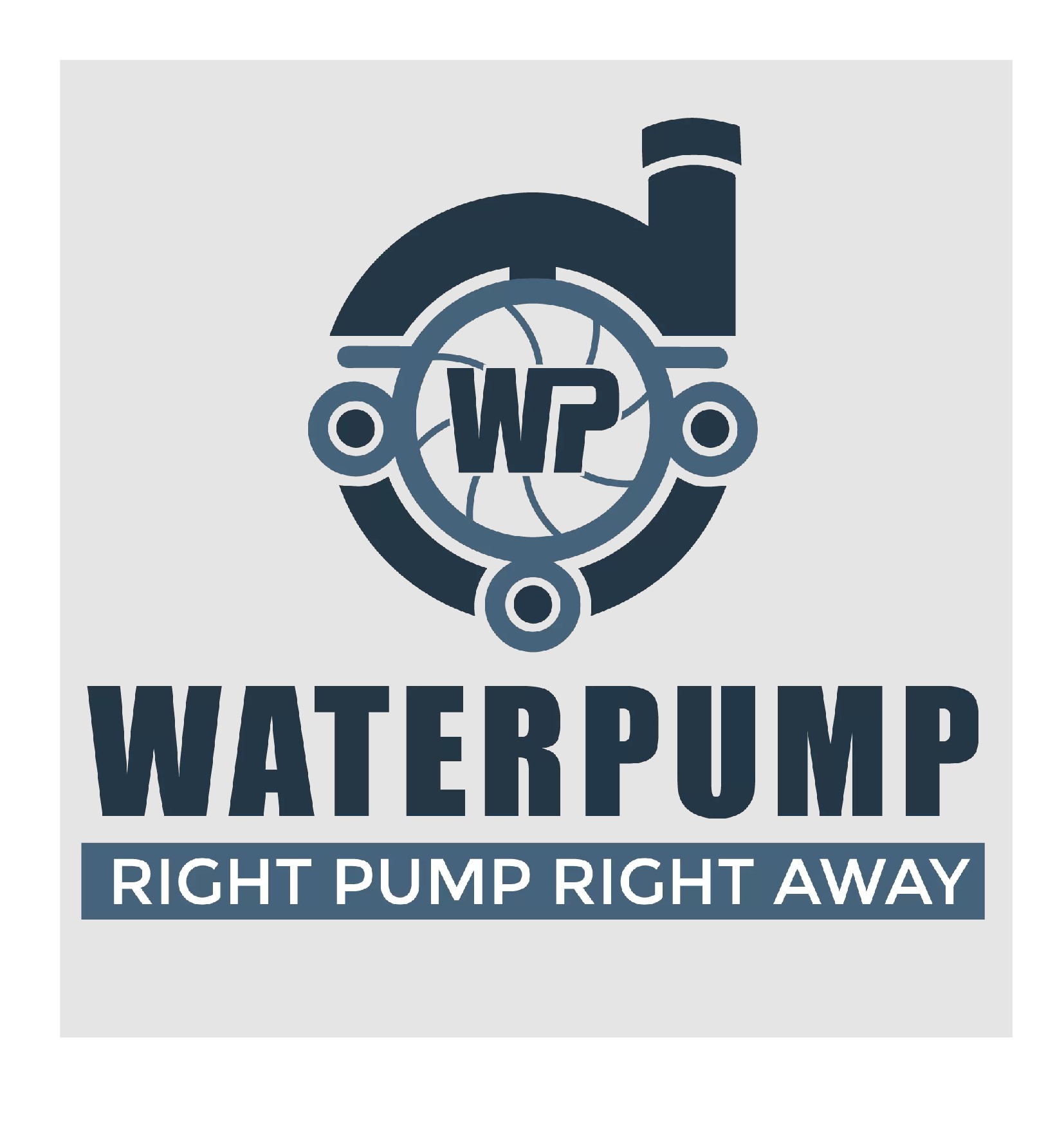 Self Priming Portable Pumps: For Jobs Beyond the Well 1 Self Priming Portable Pumps: For Jobs Beyond the Well
